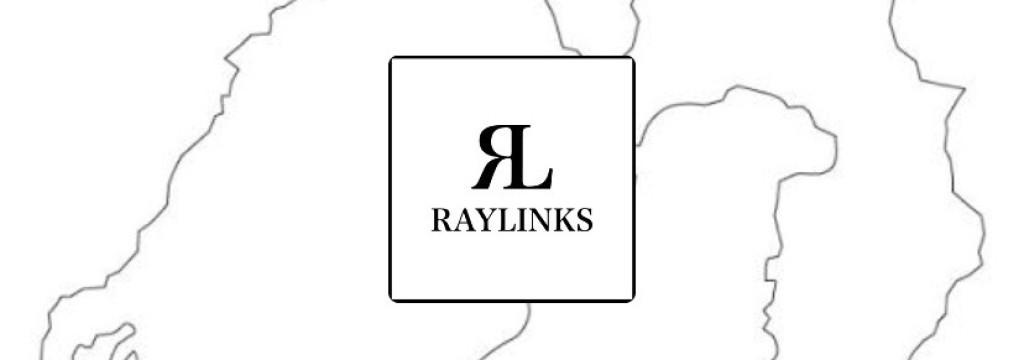 株式会社RAYLINKSのカバーイメージ