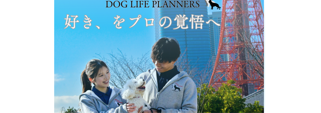 有限会社ディーエルピーのカバーイメージ