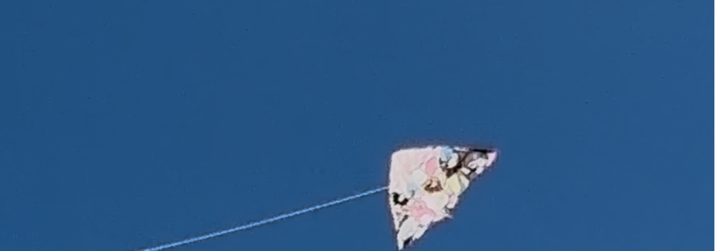 イーズ合同会社のカバーイメージ