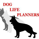 【複数拠点あり】大学生活、犬と本気で働いてみない？｜“好き”を武器に成長する実践型インターンの画像