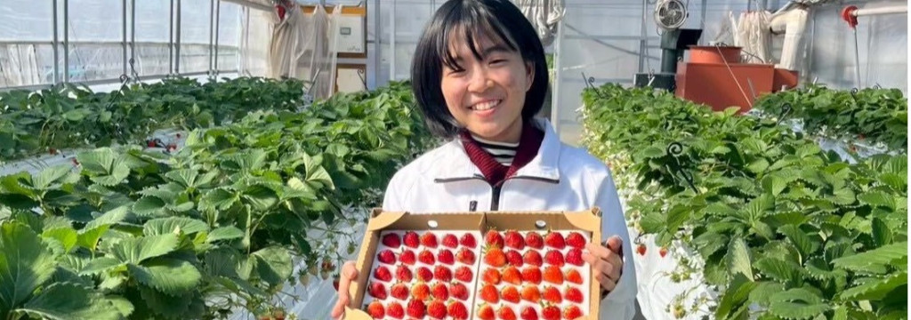 株式会社栄農人の／◢◤日本の「美味しい」を世界へ！◢◤／生産〜販売を牽引しグローバル市場へ挑むBtoB商社営業インターン#時給1250円~ #交通費あり #週2日からOKのカバー画像