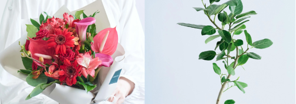 アンドプランツ（株式会社Domuz）の【インターン生活躍中！】植物花のDX企業で、多面的にWebマーケティングにチャレンジ！基礎的なビジネススキルの習得も【急成長中フラワーテックスタートアップ】のカバー画像