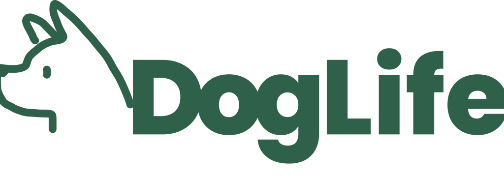 株式会社ORIT.の愛犬とのライフインフラでIPOを目指す、社長直下マーケティング担当者のカバー画像